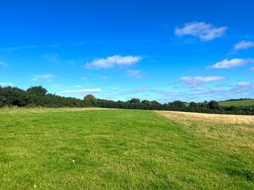 Grass pitches