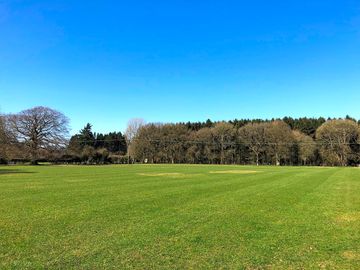 Well-maintained grass pitches