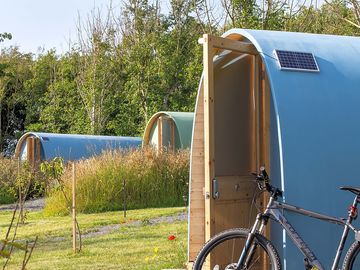 The pods