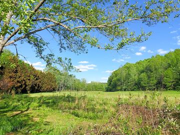 Grass field
