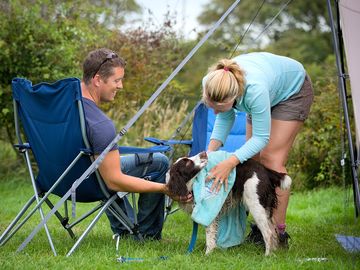 Well-behaved dogs welcome but must be kept on leads while on the site