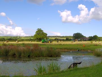 India, one of the residents, fishing on the pond