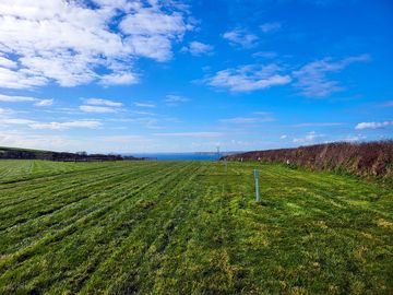 Grass pitch
