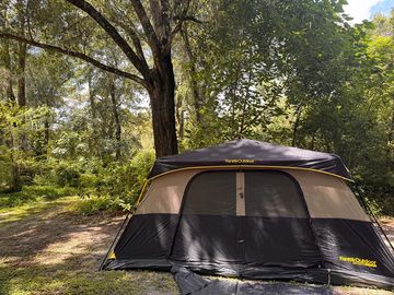 Sleep under the tree canopy