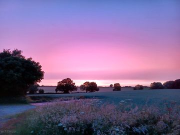 Sunset views from the site
