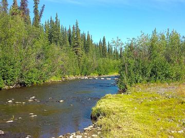 Trout and grayling fishing