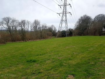 Dog-walking area