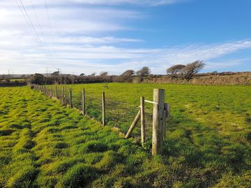 Top field