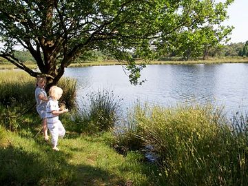 Fishing pond