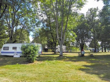 Large pitches shaded by trees