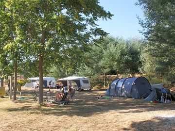 Pitches in sun and shade