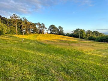 View of the electric pitches and pines bell tent