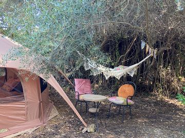 Secret garden next to the belltent