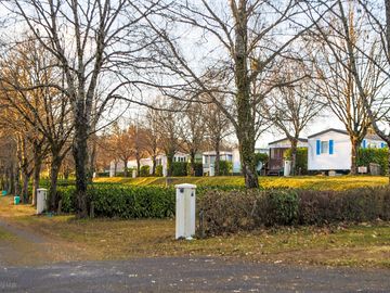 Tree-shaded pitches