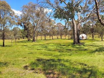 Camping areas in the paddock