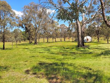 Camping areas in the paddock