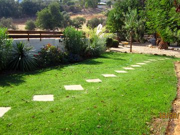Side garden