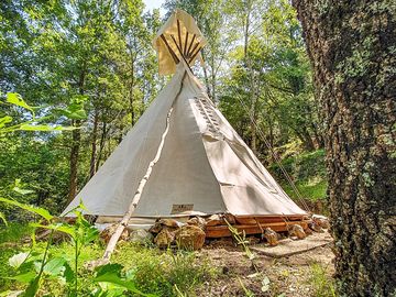 Tipi