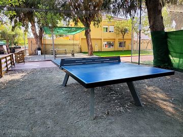 Ping pong table