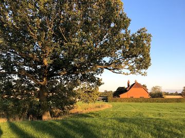 Evening at the farm