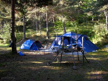 Grass pitches
