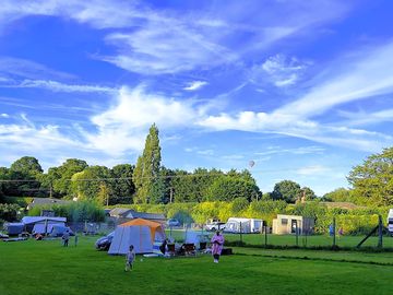 Grass pitches