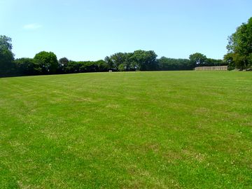 Dog walking field