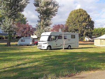 Tree-shaded pitches