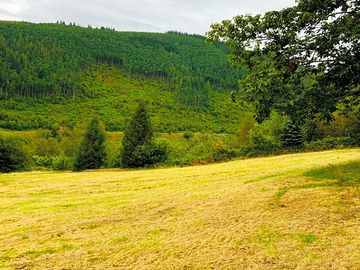 View of the camping field