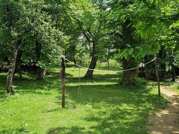 Camping grounds located in ancient chestnut forest