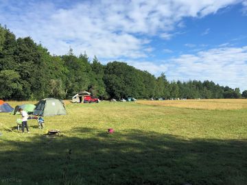 The forest edge is a popular spot to pitch up in