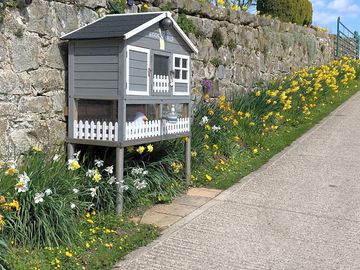 The hen house