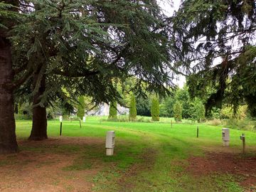 Shaded pitches among the trees