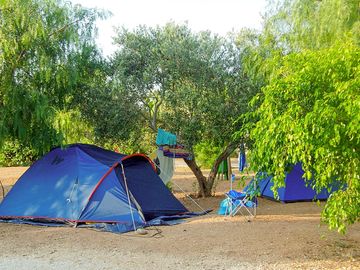 Some tents pitched near the olive trees