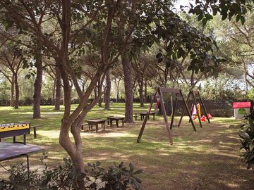Playground area