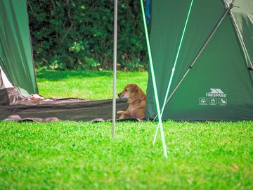 Campsite