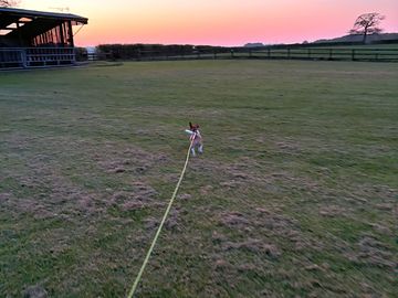 Someone's off to see the sunset…