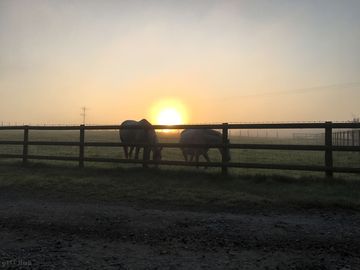 Sunrise