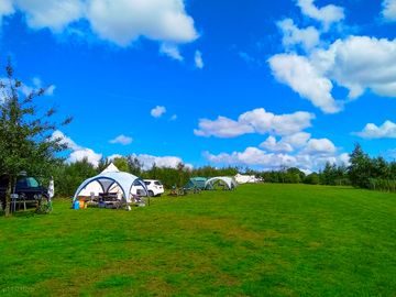 Spacious grass pitches overlooking the vineyard