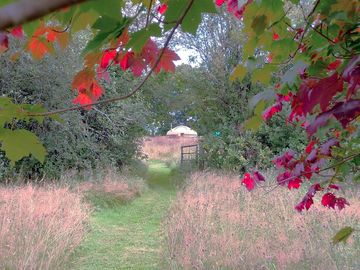 Red Kite Yurt sits on its own in Home Meadow.
