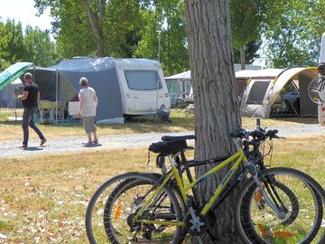 Guests' bikes leaning against a tree