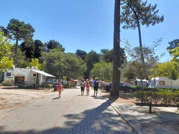 Camping area