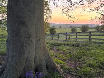 View of our paddock and over the lincolnshire wolds