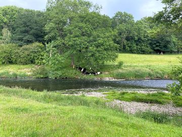The river calder