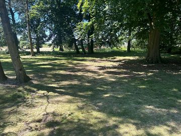 Tent pitch located in a beautiful woodland area of our park