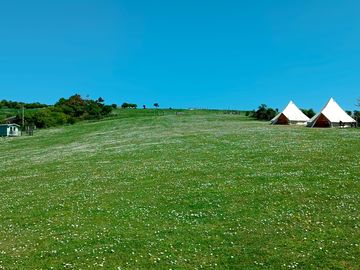 View of the field, Barn Owl cabin far left, Swift and Robin Bell tent to the right