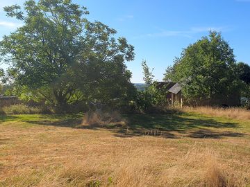 Shade under the walnut tree