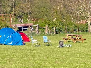 All set up with a firepit and picnic bench