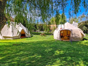 Tents in the willow tree garden