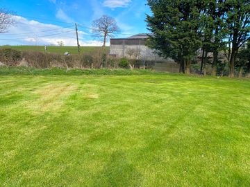 Grass pitches